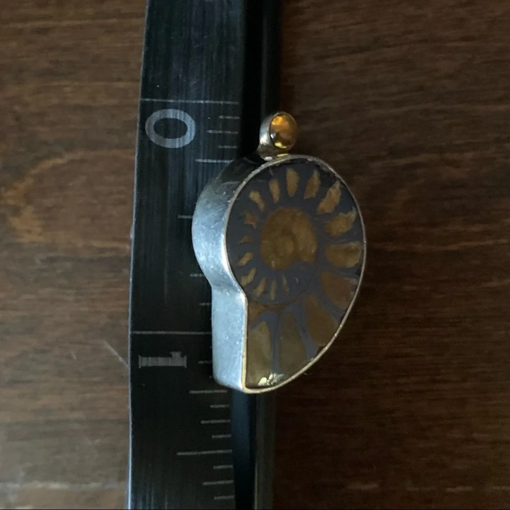 Vintage Ammonite Amber Echo of the Dreamer Sterling Silver Ring